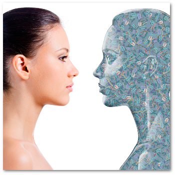 microbiome 2012 cover 'reflection'